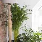 Apartmán Grodzka6 *