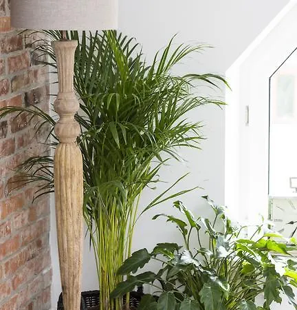Apartment Grodzka6 *