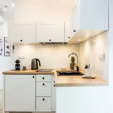 Апартаменты Grodzka6 Быдгощ