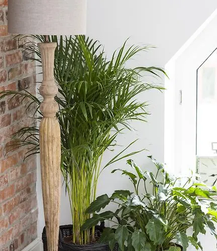 Apartment Grodzka6 *